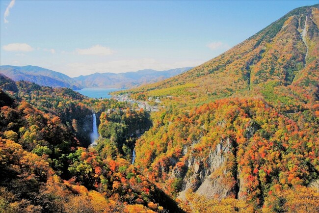 ハイグレード貸切バス運行開始記念ツアー「SPACIA X NIKKO CRUISERが紡ぐ早朝紅葉鑑賞の旅」を発売！