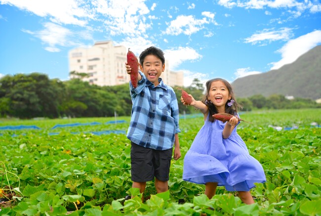【なると金時収穫体験】海を望む絶景ホテル☆日帰り欲張りプラン♪芋掘り×郷土料理バイキング×鳴門温泉