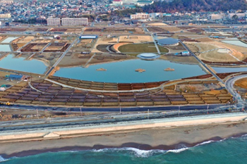 ９月２３日(火)「石巻復興の森植樹祭２０２５」を開催