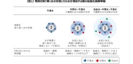 肌の水分状態を評価する新手法を開発 ＜第35回 国際化粧品技術者会連盟（IFSCC）世界大会において共創研究成果を発表＞