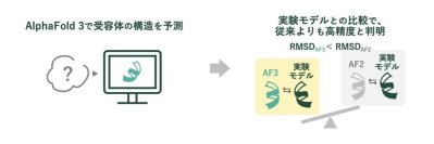 苦味受容体の構造をAIで高精度予測　AlphaFold 3による25種類のヒト受容体の構造解析に成功