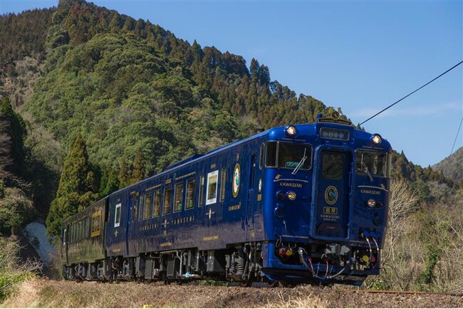特急「かわせみ やませみ」京都鉄道博物館 特別展示記念NFTを現地で配付します!