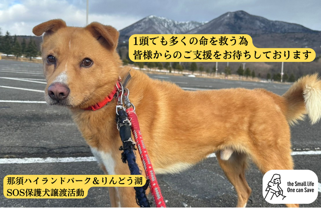 より多くの命を救うためにクラウドファンディングを実施