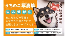 うちのペットが写真集になる!「うちのこ写真集」にてアフィリエイトプログラムを開始・パートナー募集のお知らせ うちのペットが写真集になる!「うちのこ写真集」にてアフィリエイトプログラムを開始・パートナー募集のお知らせ