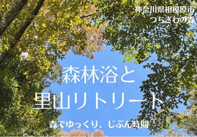 【相模原市】森でゆっくり、じぶん時間 「森林浴と里山リトリート」の参加者を募集します!