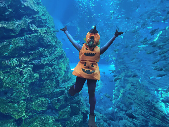 【上越市立水族博物館 うみがたり】うみがたりに秋を探しに行こう！『うみがたりハロウィン２０２５』【２０２５年１０月１日（水）～１０月３１日（金）】