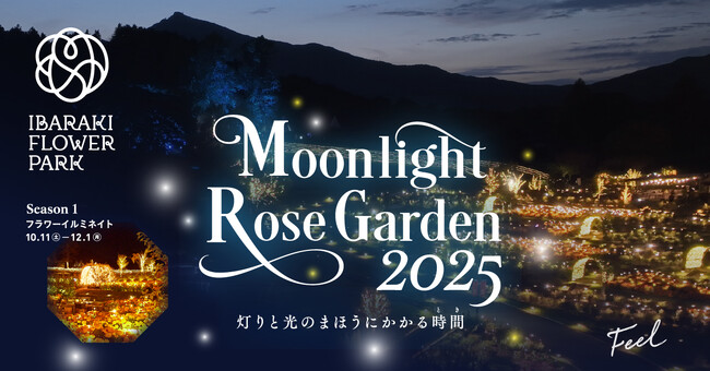【光の変化を体感】「Moonlight Rose Garden2025」灯りと光のまほうにかかる時間(とき)