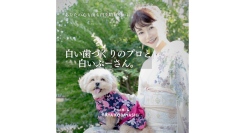 [令和出版] 小林 彩 著『白い歯づくりのプロと白いぷーさん。』発売のお知らせ