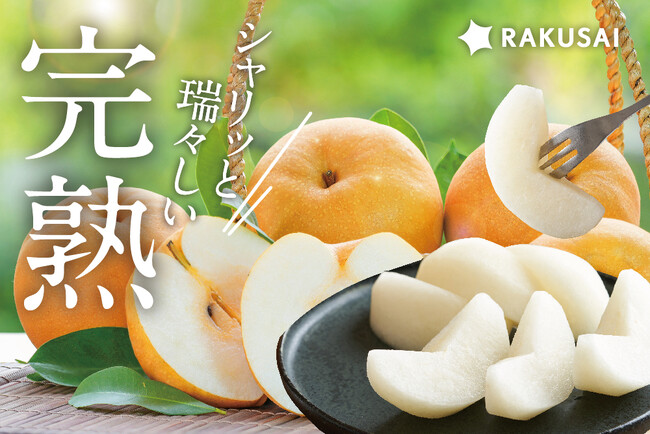 強い甘み!「信州育ちの南水梨」販売開始 ~売り切れ続出のRAKUSAIの梨、今年最後~