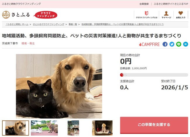 茨城県下妻市とさとふる、地域猫活動や多頭飼育問題などへの支援事業を通じ、人と動物が共生するまちづくりのため、寄付受け付けを開始