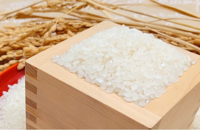 「新米」をふるさと納税で!佐賀県の米どころ「江北町」で予約受付開始!