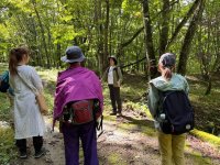 岐阜県高山市の森林浴で自律神経を整えるイベント　カルテコをモニターに無料提供