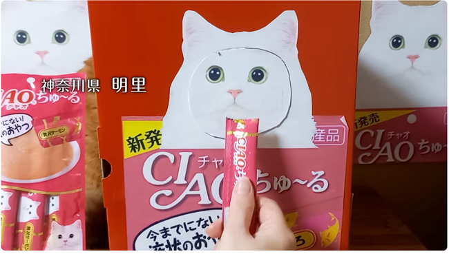いなばペットフード 「CIAOちゅ~る3分CM」第5弾グローバル篇が完成!