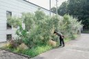 BIOTA「一条工務店群馬の事務所の外構植栽」(2024) BIOTA「一条工務店群馬の事務所の外構植栽」(2024)