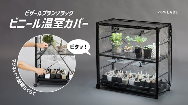 【多肉植物・アガベ愛好家へ】コレクション株を、来春も美しい姿で。「ビザールプランツラック」専用のビニール温室カバーが発売