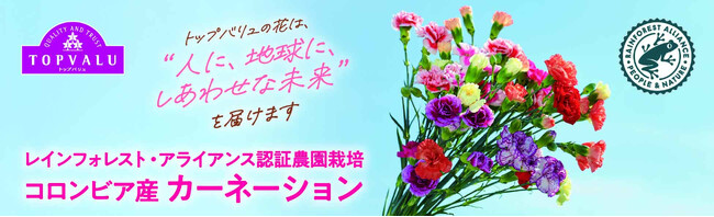 国内プライベートブランド初！レインフォレスト・アライアンス認証農園で栽培されたコロンビア産カーネーションを発売