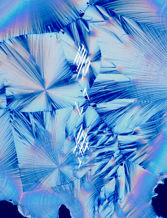 DUSTCELL、4th Album「碧い海」12月10日(水)にリリース決定！ 2026年1月からは過去最大規模の全国ツアーも開催