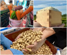 京葉道路・幕張SAで秋の味覚イベント開催中