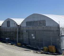熊本農場のハウス施設