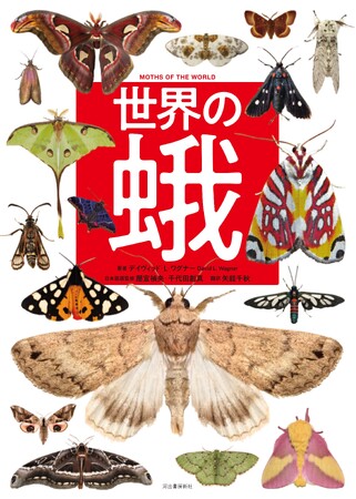 【多様で、美しく、驚異的な生態】世界の蛾類105 分類を網羅。最新の知見に基づいてまとめた『世界の蛾』、本日9月29日発売！