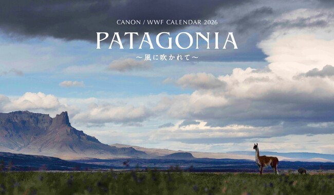 「キヤノン/WWF岩合光昭カレンダー2026 PATAGONIA~風に吹かれて~」を発売