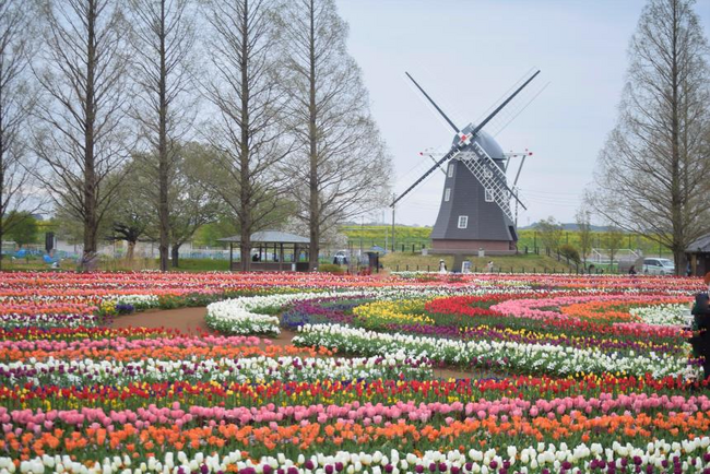 【千葉県柏市】公園の課題解決アイデアを法人から募集します！