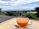 やすらぎの里・断食中のスムージー(内臓のリカバリー)