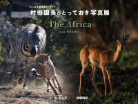 よこはま動物園ズーラシアと動物園水族館探求メディアwizooがコラボレーションし、共同写真展を開催！