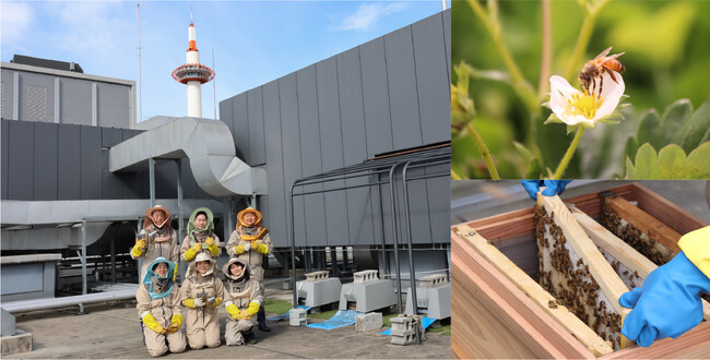 SDGsを学ぶ“都市養蜂見学ツアー” 9/30（火）より予約開始