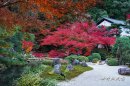 回遊できる紅葉の「紫雲の庭」