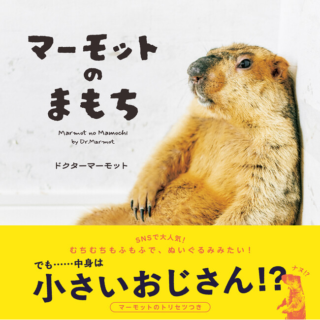 “自然界のぬいぐるみ”、“小さいおじさん”、“ケンカごっこが相撲”‥　SNSで大人気のマーモット 初の写真集がついに登場
