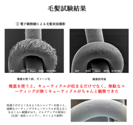 キューティクルの健やかさ