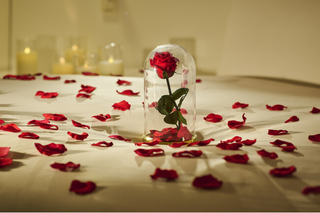 コースディナー、ケーキ、ルームデコレーション！ホテルで楽しむクリスマス「CROSS Xmas 2025」販売開始【クロスホテル札幌】