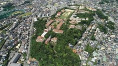 創立150周年を迎えた神戸女学院大学岡田山キャンパスが環境省「自然共生サイト」に認定 ― 都市部にありながらも希少な動植物が生息する貴重な緑地として高く評価