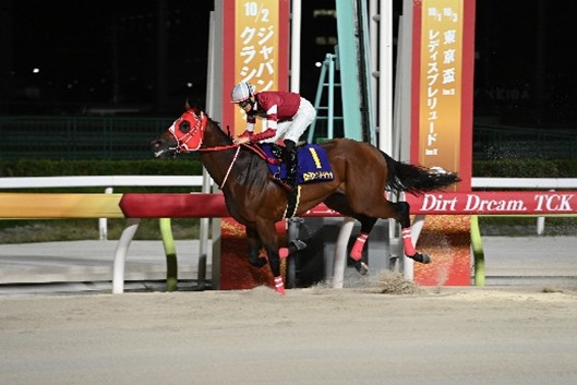 実力ある地方馬・中央馬が集結!3夜連続のダートグレード競走!!