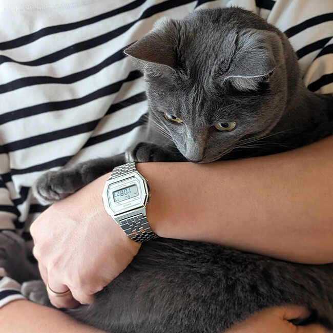 【CASIO CLASSIC】ヘアライン仕上げのシャープな佇まいが魅力。TiCTAC先行発売。