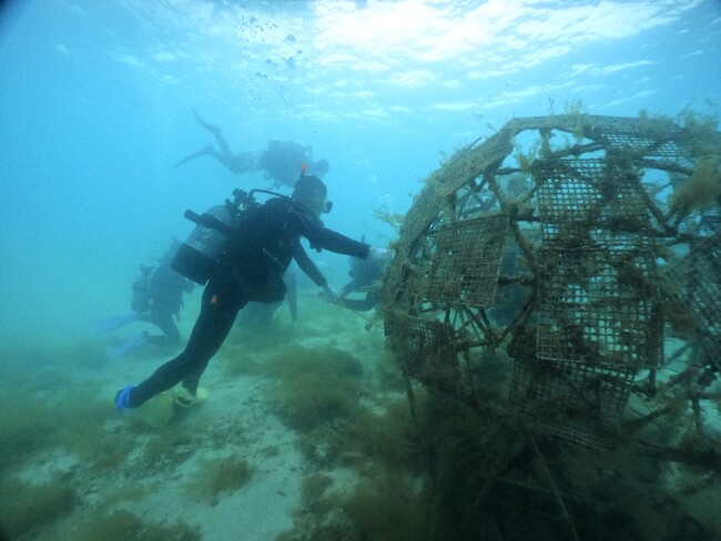 地域活性化に注力するTSP太陽が「里海珊瑚プロジェクト」へ参画　陸上で育て、植え付けることで沖縄のサンゴ保全へ