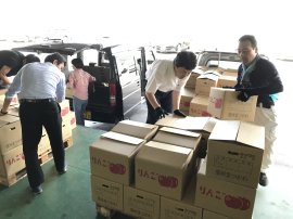 摘果リンゴ集荷風景(1) 摘果リンゴ集荷風景(1)