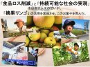 摘果リンゴ地域生産との協働(イメージ) 摘果リンゴ地域生産との協働(イメージ)