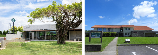 沖縄の「自然の恵みの豊かさ」を地域ともに未来につなぐ、『つなご・みらいアートプロジェクト』を始動