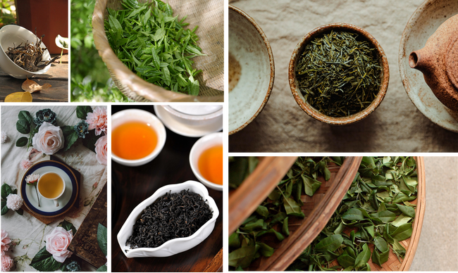 今年の喫茶来（きっさこ）もセミナーやワークショップが充実！お茶をあらゆる角度から体感しよう、お茶の造詣を深める3日間