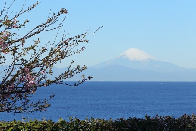 京急電鉄×三井不動産　三浦半島油壺エリアにおけるリゾートホテル事業計画検討に関する協定締結について