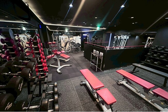 リニューアルオープン【ワールドプラスジム亀岡駅前店】最新マシン大量導入！！