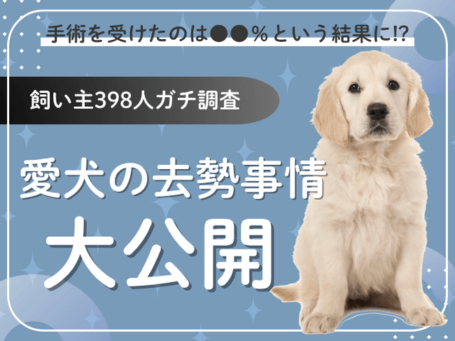 【飼い主398人に調査】愛犬の去勢に踏み切ったのは●●％！葛藤と安心のリアルエピソード集