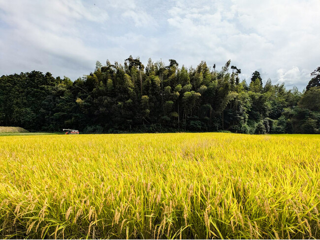 2030年ネイチャーポジティブの実現に向けて NPO法人 唐津Farm&Food、「自然共生サイト」認定式に参加