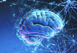 神経膠腫治療機器開発を支援