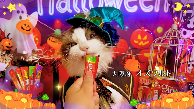 いなばペットフード　「ちゅ～る」ハロウィンTVCM動画を公開！猫ちゃん動画第一弾公開！