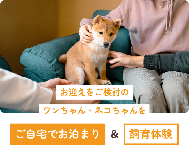 ペッツファーストトライアルホームステイ制度　2024年度実績を公開