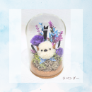 ラベンダー ラベンダー