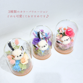 3羽のシマエナガ 3羽のシマエナガ